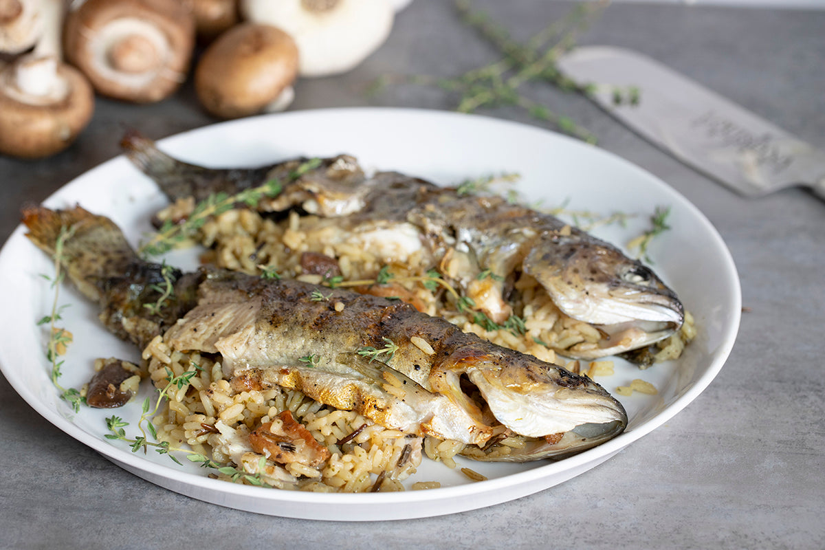 Wild Rice & Mushroom Stuffed Smoke Lake Trout – Louisiana Grills